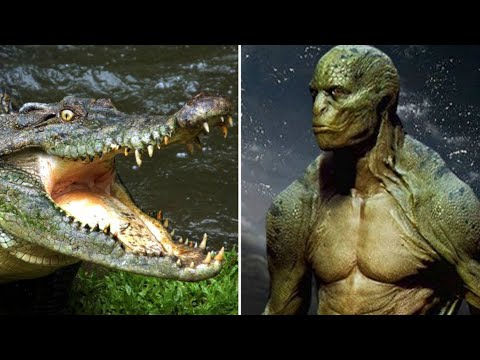 Nos engañaron con la biblia...