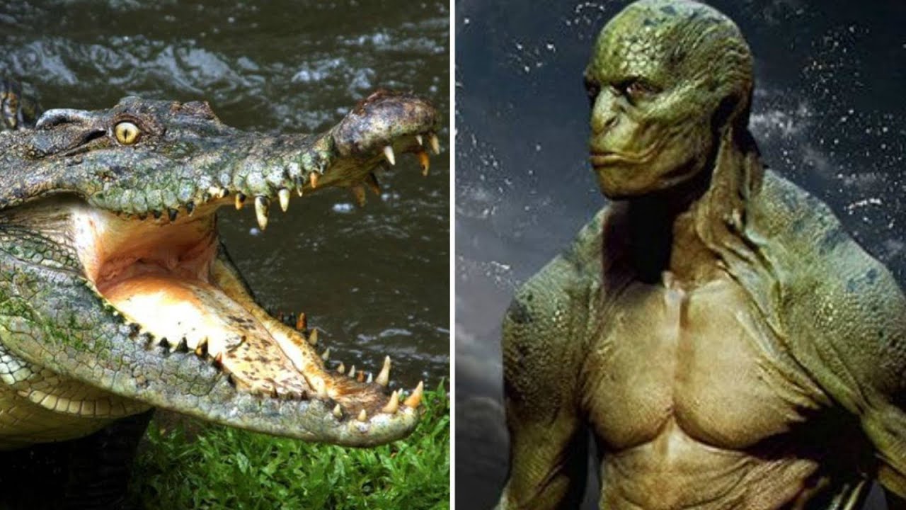 Nos engañaron con la biblia...