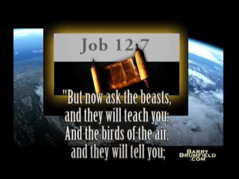 Seven Days of Creation: Part 3 of 5, Genesis 1: 14-23