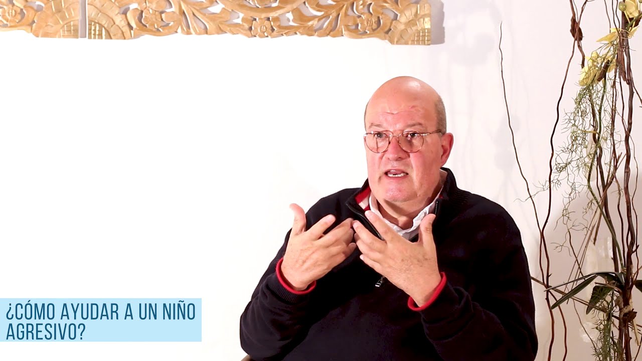 ¿Cómo ayudar a un niño agresivo?