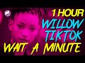 Willow - Wait A Minute TikTok REMIX 1 Hour Loop // Wait A Minute by Willow *NO ADS*