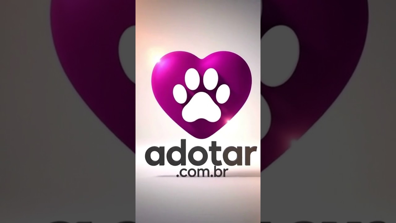 Cachorro raça SRD-ViraLata idade 5 anos nome Guaraci