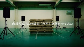 珈琲豆にB&#39;zの新曲「声明」を聴かせてみた