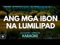 Ang Mga Ibon Na lumilipad (Karaoke/Acoustic Version)