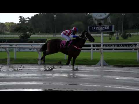 210425 c01 NEVER LOSE