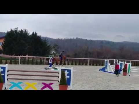 Mare for sale By Colman