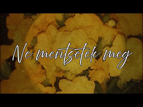 DA KID - Ne mentsetek meg (Audio)