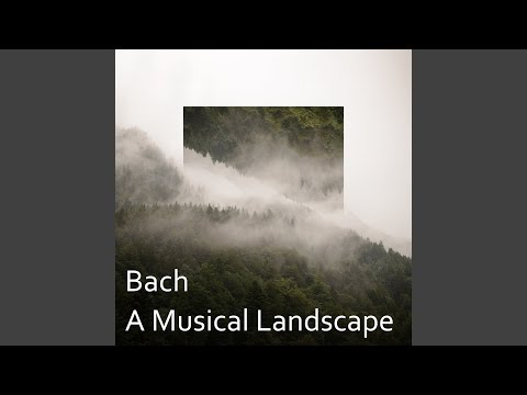 J.S. Bach: Prelude for Lute in C minor, BWV 999 - transcription for guitar in D minor: Prelude...