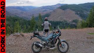 Kawasaki KLE500 First Ride: I Got Lost In the Woods, My Phone Died, and There Was a Mountain Lion...