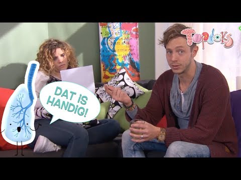 OP DEZE MANIER KUN JE VET GOED VOOR JE TOETS LEREN - TOPDOKS EXTRA