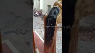 Download lagu Combing Heavy Oiled Hair || Requested Video - No Audio mp3 Download lagu Combing Heavy Oiled Hair || Requested Video - No Audio mp3