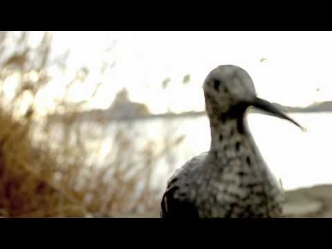Atto Secondo - The Zen Circus