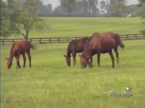 "I Will Praise You, O Lord" - Scott Wojahn