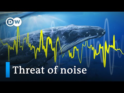 Noisy oceans