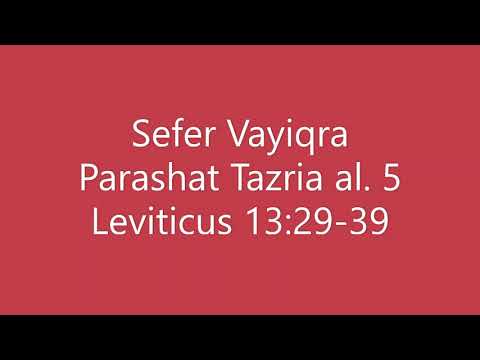 Torah Chanting - Sefer Shemot - Parashat (Portion) Tazria al. 5