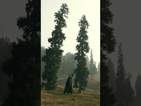 [ 4K CINEMATIC ] Beauty of Kashmir | Must Visit Hidden Gems of India | HQ Drone Shot