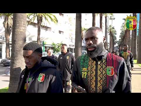 Comoros vs Mali D-Day | 15-minute walk for the Eagles
