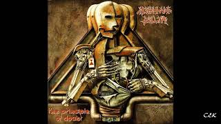 MEKONG DELTA - The Principle Of Doubt 1989 full album