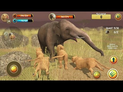 Wild Lion Simulator 3D Android Gameplay #3 - YouTube