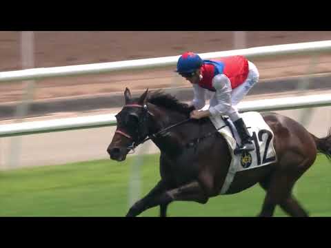 18/9/2022 (20) Winwin Thirtythree - Z Purton