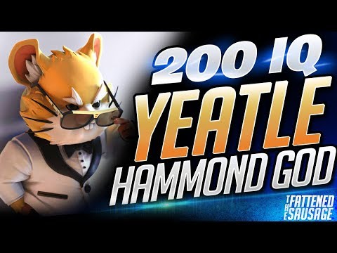 Yeatle The 200 IQ Hammond GOD | Overwatch