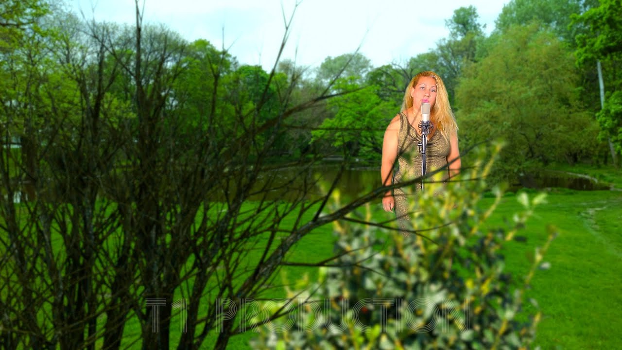 Gipsy JANKA - Bez teba (cover)