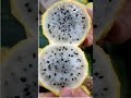 Fruit du Dragon (pitaya) jaune video