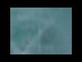Dragon Tales Follow The Dots Pt 2 W More Plaster Logos 2010 2019 NaQis Friends HiT