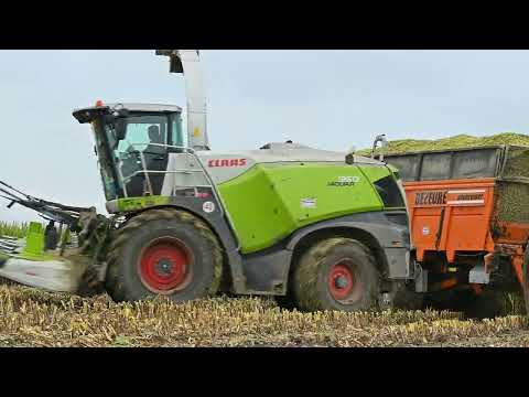 Vergauwe K&P mais hakselen met hun Claas Jaguar 960.