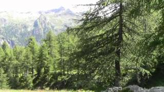 preview picture of video '[IT - EN] Escursione sul Colle Ranzola - Hike to Ranzola Hill (Valle d'Aosta - Italy)'