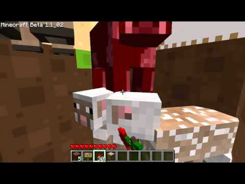 Minecraft: Animal Cruelty