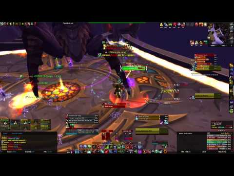 Garalon 10hm - Tetra - Ysondre EU