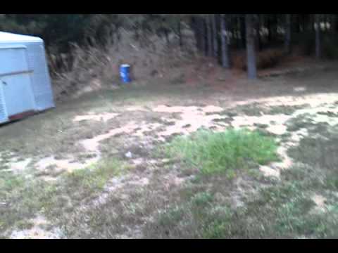 armor piercing 12 gauge