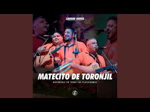 Matecito de Toronjil