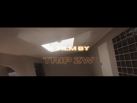 Trip zw - Touch Bass (Visualizer)