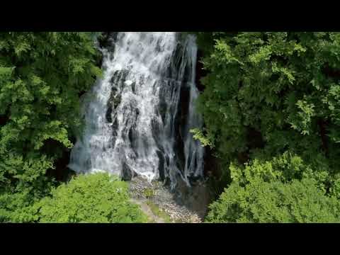 Forests from Above No Sound — 10 Hours Screensaver of 4K UHD Drone Aerials