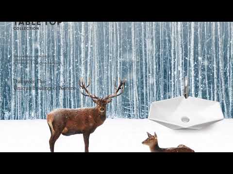 Floor mounted ceramic one piece water closet toilet seat, si...