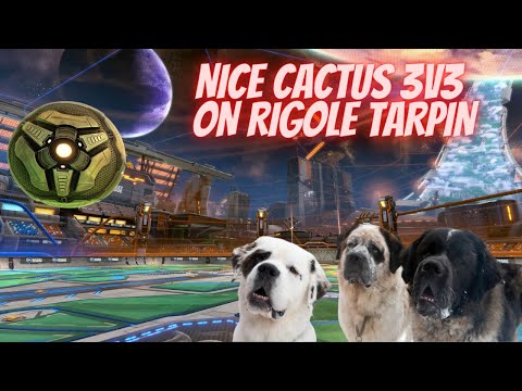 TOURNOI NICE CACTUS : ON DONNE TOUT MAIS BIZARRE EXPLICATION