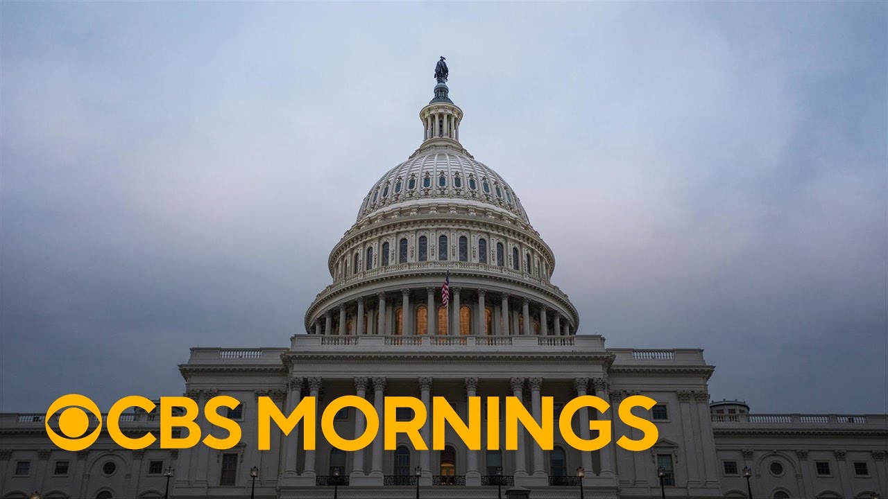 Democratic strategist Joel Payne on the next steps for the Democratic Party after their loss