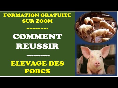, title : 'Replay Formation sur Comment Réussir Elevage des Porcs'