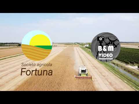TRAILER [RACCOLTA SOIA 2020] - Società agricola Fortuna