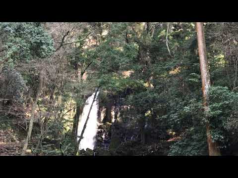 光る滝【白糸の滝】