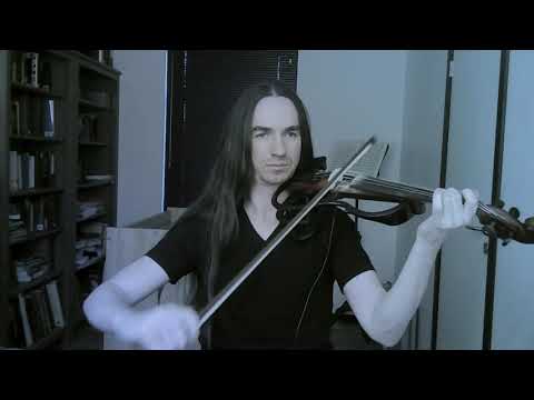 Cathubodua - Amidst Gods - Violin Playthrough