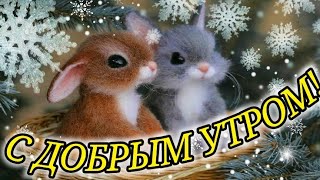 ДОБРОЕ УТРО! САМОЕ КРАСИВОЕ ПОЖЕЛАНИЕ ДОБРОГО ЗИМНЕГО УТРА! С ДОБРЫМ УТРОМ!