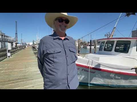 Mythbust Monday: Seafood Edition! Shrimp