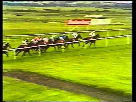 1990 Irish Derby