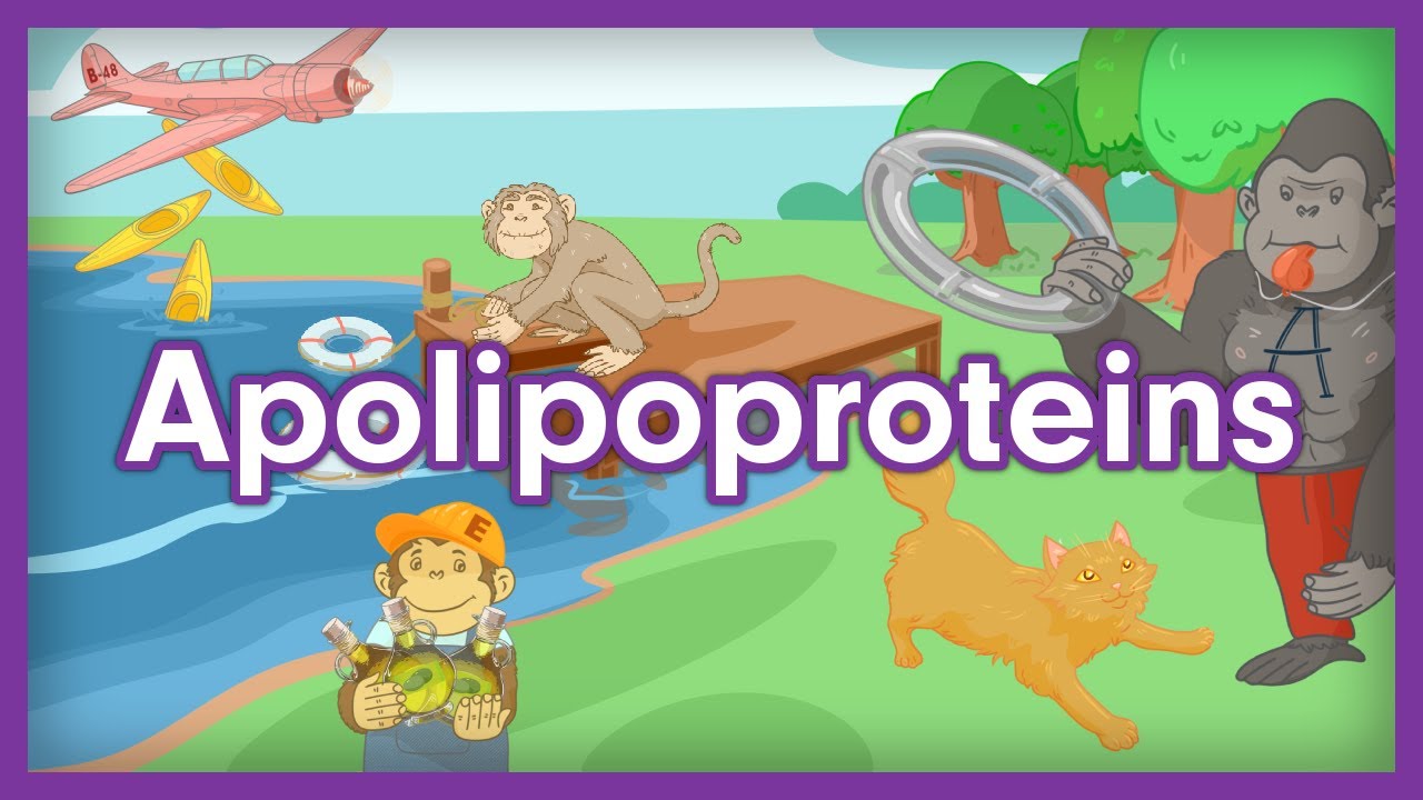 Apolipoproteins | USMLE Step 1 Biochem Mnemonics - YouTube