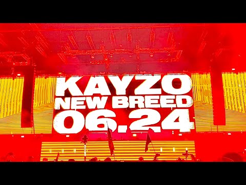 KAYZO  EDC 2022