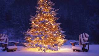 Elvis Presley Holly Leaves And Christmas Trees   Cover Version by Emanuehl