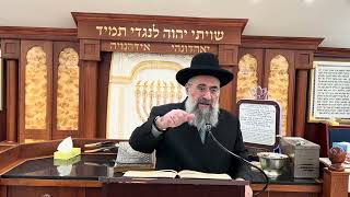 מצווה להרבות באכילה ושתיה בערב יום כיפור (הרב יצחק ישראלי) - התמונה מוצגת ישירות מתוך אתר האינטרנט יוטיוב. זכויות היוצרים בתמונה שייכות ליוצרה. קישור קרדיט למקור התוכן נמצא בתוך דף הסרטון